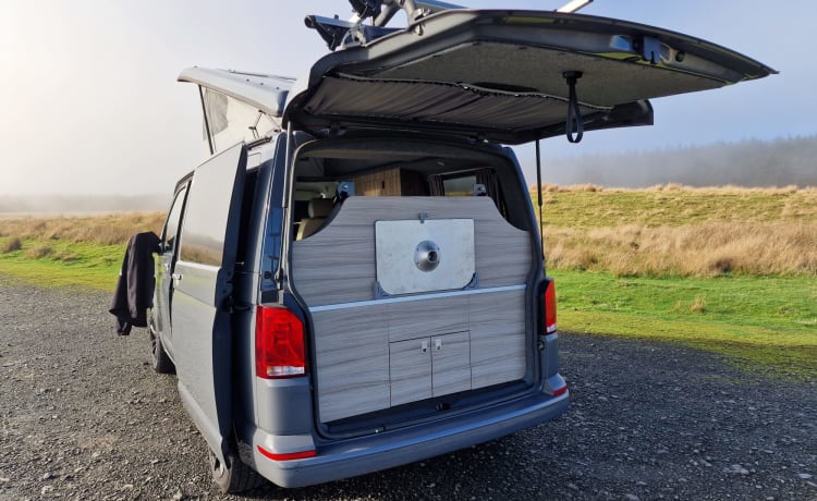 Coco the camper van  – 3-persoons Volkswagen campervan uit 2021