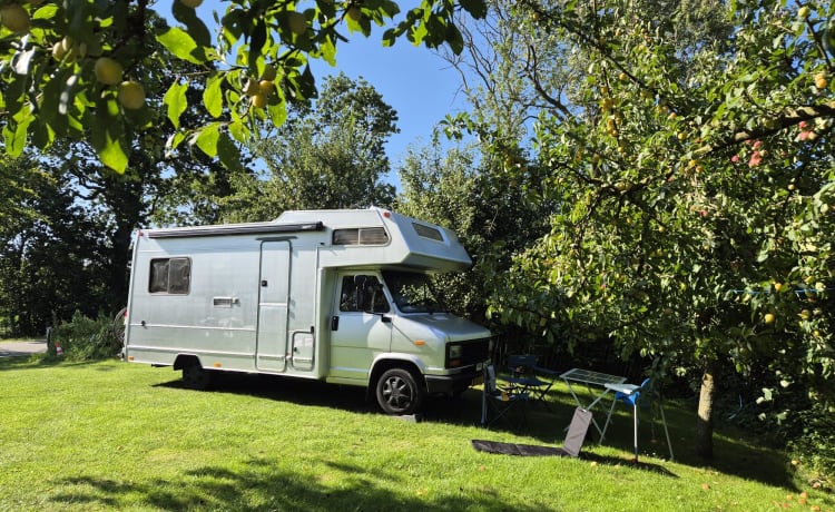 Camping-car Peugeot spacieux avec alcôve