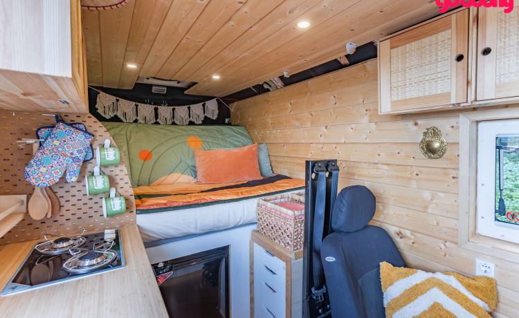 Ollie – Comfortable, attractive 2 person bus camper