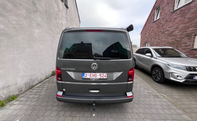 Zwitsers zakmes – 5p Volkswagen campervan uit 2023 (automaat)