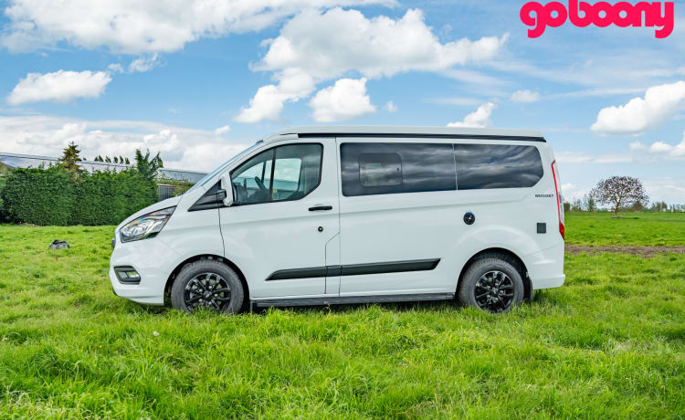 "Kip" Nugget – 4p Ford campervan from 2024