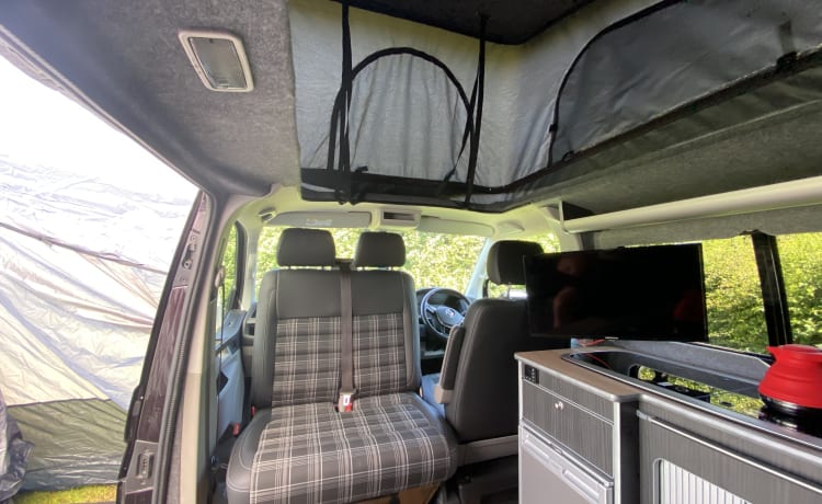 Bentley  – Gorgeous Blackberry VW T6 Campervan with Starlight Ceiling 