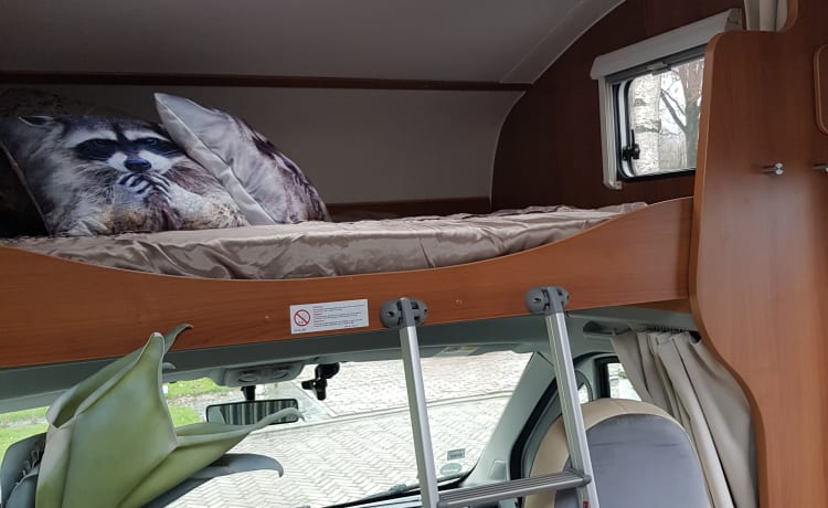 Luxury 6-person camper for rent {OFFER}