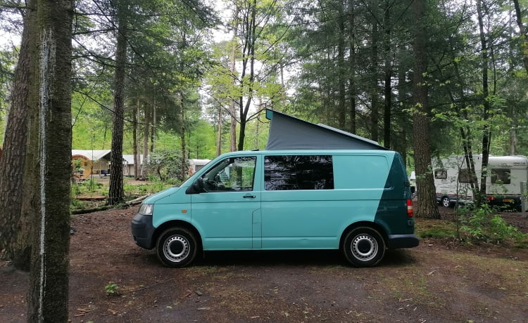 Fresh Volkswagen T5 (self-sufficient)