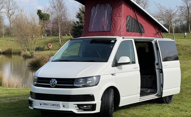 Freedom "Candy White" – Model: VW T6 Highline Transporter   : New Conversion   