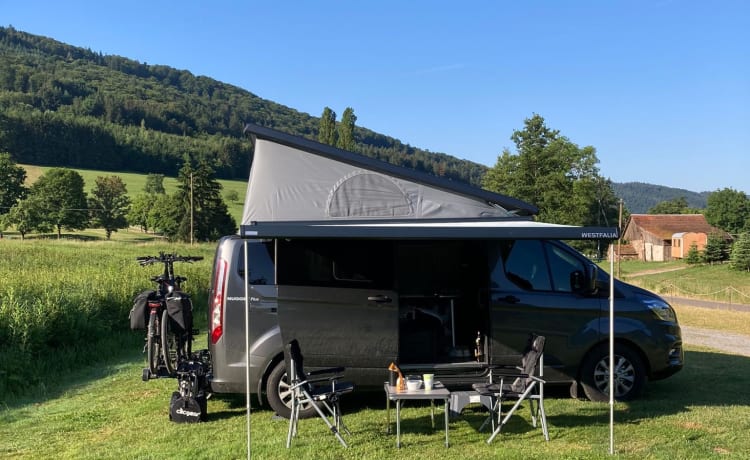 Nugget – Ford Nugget Plus 2023 with pop-up roof