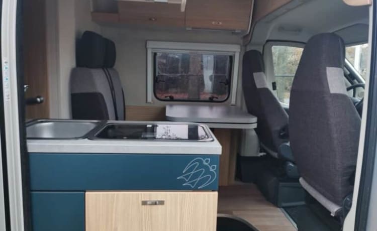 Automatic Luxury Knaus Van