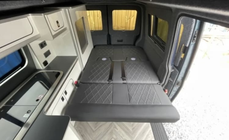 Bluey the Transporter Heeler – VW T6 Petrol Blue, 4-Berth