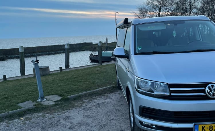 Bulli – Voiture d'origine VW California Ocean T6. Euro6