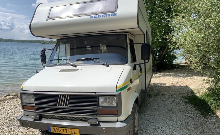 Camping-car familial spacieux et soigné des années 1980 - bien entretenu