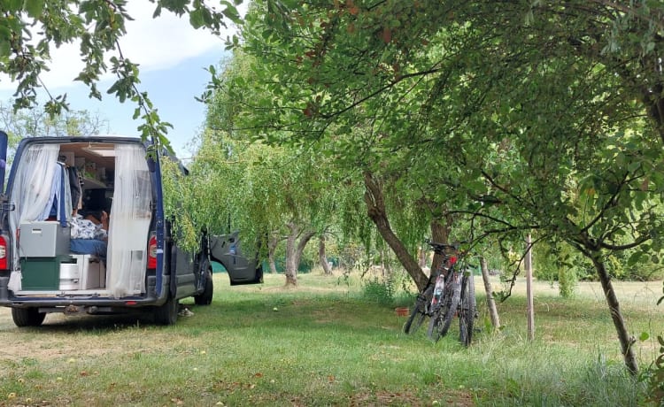 Bolt – Huur onze zelfbouw bus voor 2 (of 3) personen