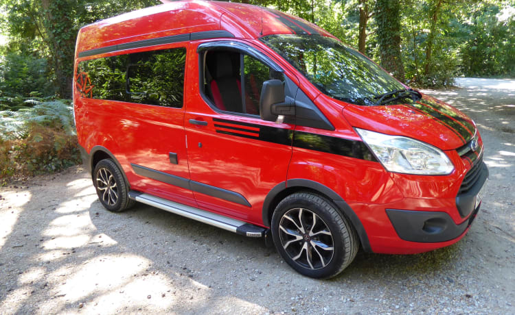 Tom – Ford Transit haut de gamme personnalisé. l'île de Wight