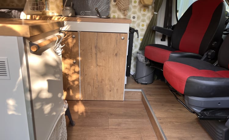 Haast kan de klere krijgen – Fiat bus camper for 2 people