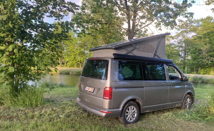 the.VANhoutte – Volkswagen California uit 2019 - 4 personen