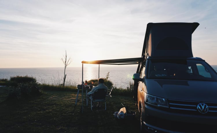 the.VANhoutte – Volkswagen California uit 2019 - 4 personen