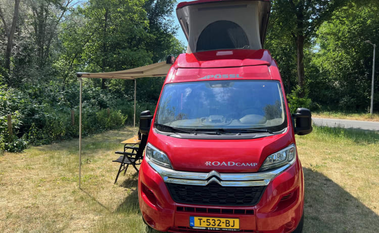 Nice bus camper, with lifting roof.