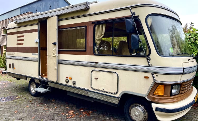 Bruine Beer – Hymer, klassieke Bruine Beer uit 1985 in top conditie