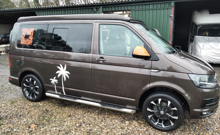 Vinnie – 4-persoons Volkswagen campervan uit 2015