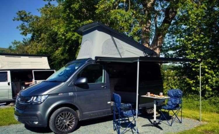 Colin – 2022 VW T6.1 Campervan. 4 Berth. Dogs allowed