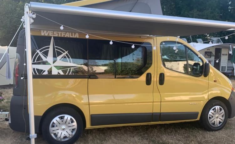 PeiPei – 3/4 persoons Renault Trafic uit 2003