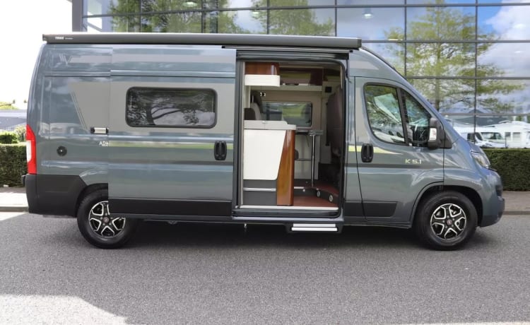 Mobilvetta Admiral 5.1 di Lusso (Buttercup)