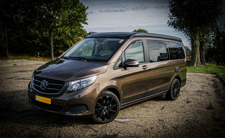 NOVACAMPER  – 4er-Mercedes-Benz-Bus aus dem Jahr 2015