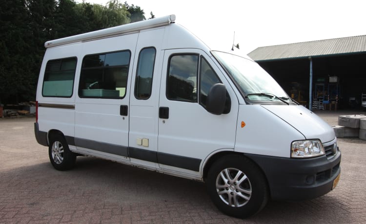 Neat 4 pers. Fiat Ducato bus camper (spacious fixed bed); 2.8 TD with pit