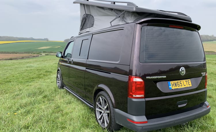 VW T6 LWB Camping-car adapté aux familles et aux chiens