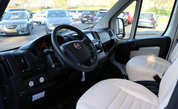 6p Fiat Alkoven von 2012