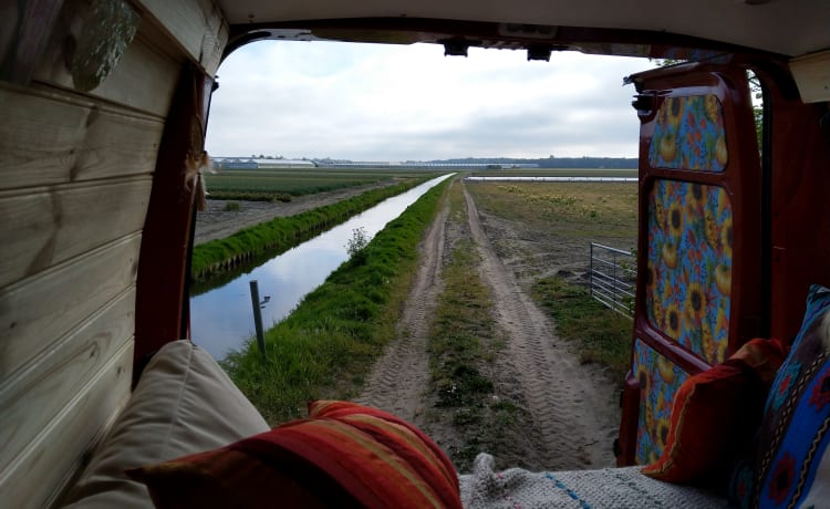 Unterwegs mit Red Hot Chili Pepper Bus (2 Personen)