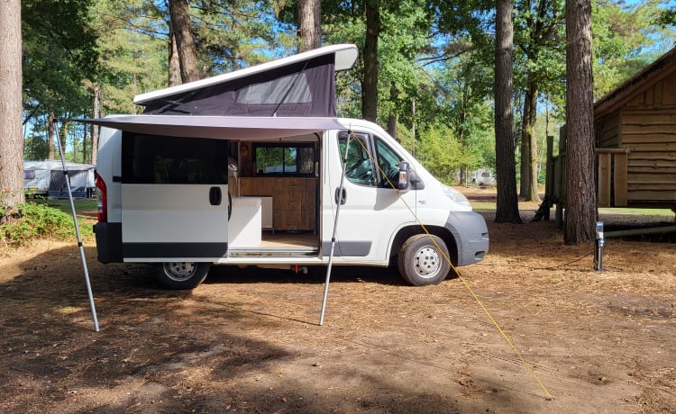 Q-bus – Compact and complete camper