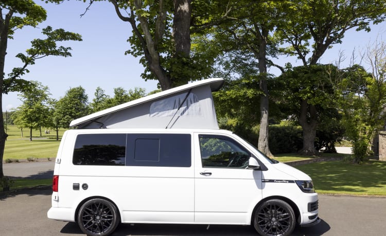 *** FOR SALE ***  – VW Transporter T6 - CamperKing 