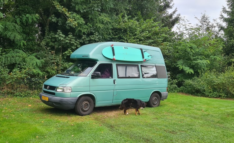 Flow  – Volkswagen California camper including insurance