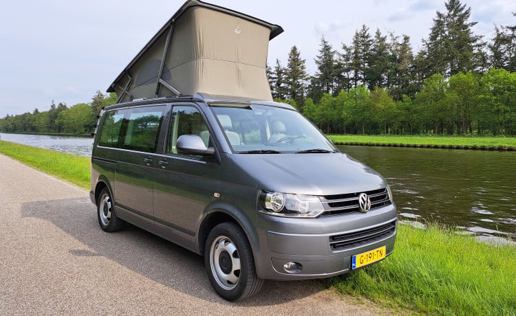 Volkswagen California T5 automatic 4P