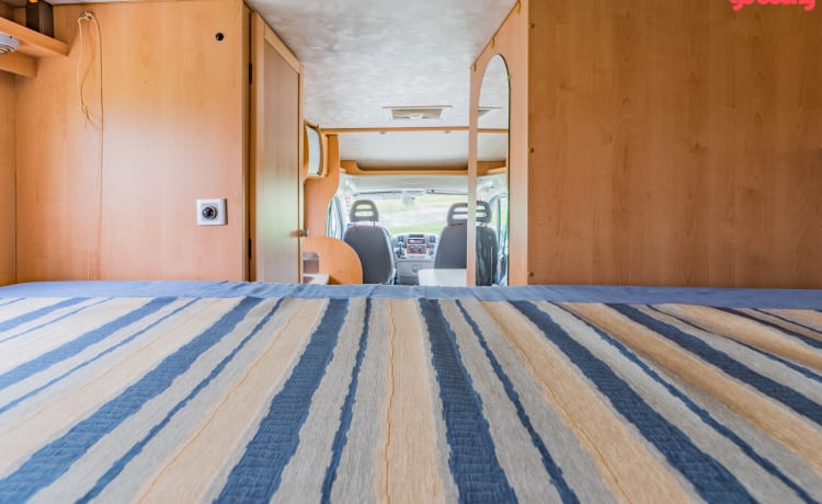 Neat 3-person camper, XXL garage, reversing camera, air conditioning