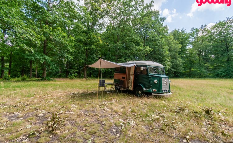 Woody – Klassieke Citroen HY 1976 buscamper