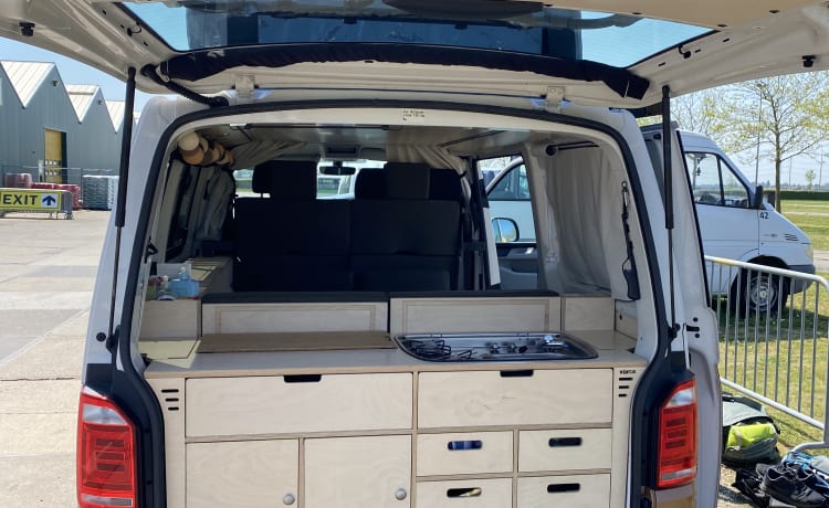 Ventje_Pezarro –  Camper Ventje- Luxe VW T6 automaat voor 4 personen