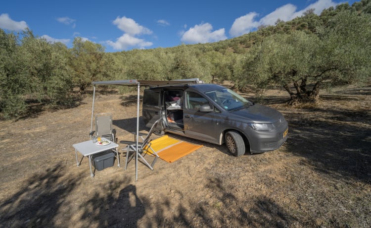 Lizzie – Autobus Volkswagen 2p à partir de 2024