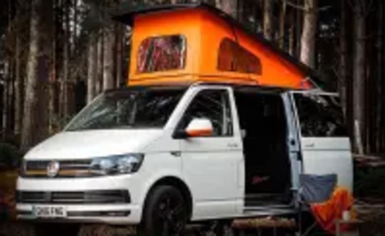 Wilbur – Unique VW T6 Campervan Full Insurance inc.