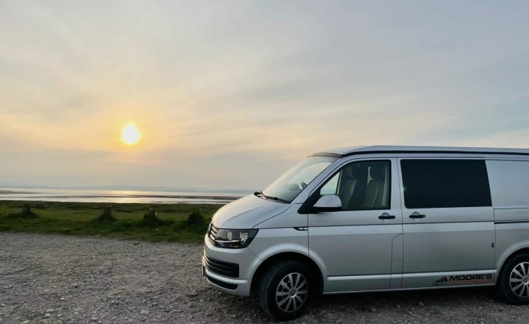 Bertie – 4 berth Volkswagen bus from 2015