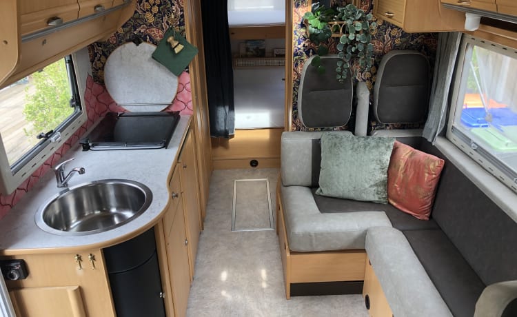 🌿 Spacious and atmospheric 4 p family camper