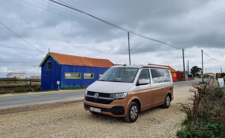 BATmobiel :) – VW California T6.1 met standverwarming