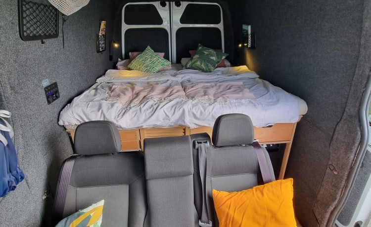 Freddy  – 2 berth campervan to explore Shetland