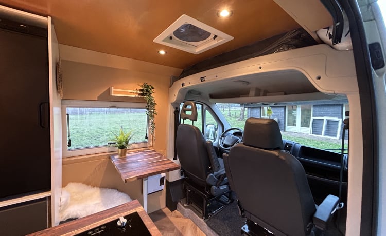 Roadturtle – Bus camper Peugeot for the ultimate holiday