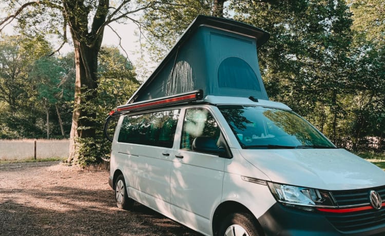 Bärbelche – VW T6.1 – Der Wohlfühl-Camper mit viel Platz und Solar!