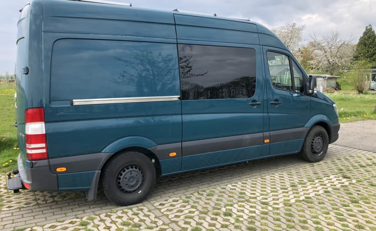 New cool off-grid Mercedes Sprinter bus camper with length beds