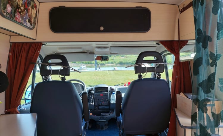 2p attraente, spazioso, leggero camper bus Fiat