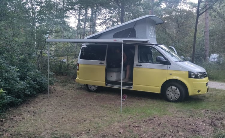 Summer yellow – 4 person campervan with cozy new Woodpecker installation