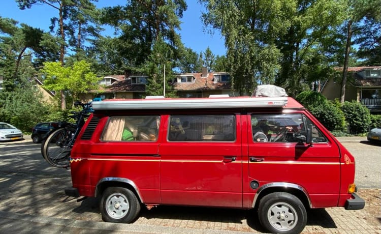 Tushka – TOPPER - VW T3 Westfalia Joker