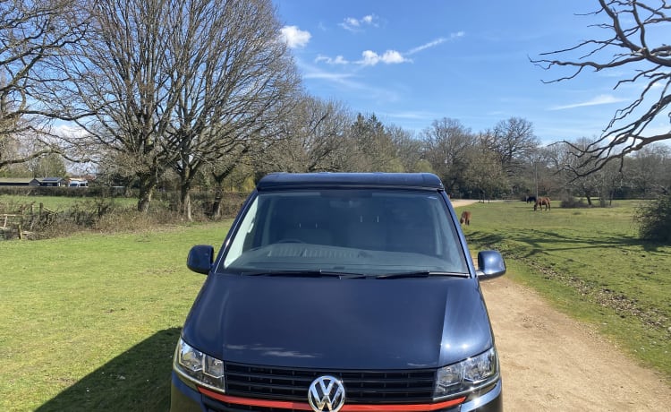 4 berth Volkswagen campervan 2021